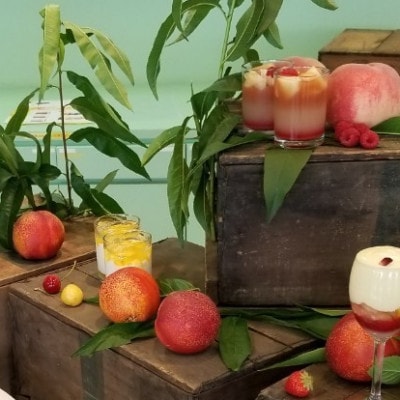 【お盆に喜ばれる贈り物】マンゴーネクタリンやみつきリピーター続出中2026年8月中旬より発送【配送不可地域：離島・北海道・沖縄県・中国・四国・九州】