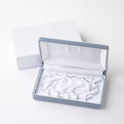 プラチナダイヤモンドステーションロングネックレス 16pcs Total 1ct 全長80cm【配送不可地域：沖縄県】