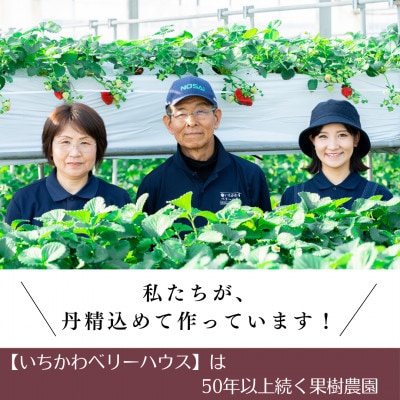 【2026年配送】農園直送!厳選!山梨産シャインマスカット2房(1kg以上)【配送不可地域：離島・沖縄県】