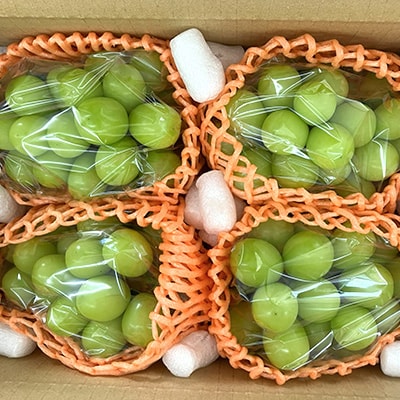 【2026年先行受付】山梨市産シャインマスカット(匠) 2kg以上(3～4房)【配送不可地域：離島】