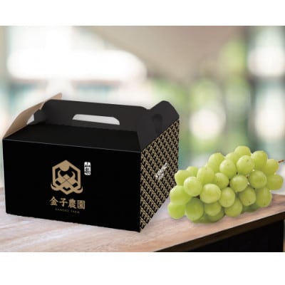 【旬を先取り】最高糖度20度オーバー贈答用プレミアム甲州戦国ハウスオブシャイン2026年6月中旬発送【配送不可地域：離島】