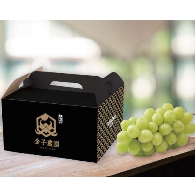 【本場山梨の旬を堪能】今、話題のハウスオブシャインマスカット全国に先駆け2026年6月中旬発送【配送不可地域：離島】