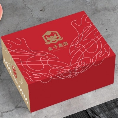 【本場山梨の旬を堪能】今逃せば1年待ちの幻のハウスオブシャインマスカット2026年6月中旬発送【配送不可地域：離島】