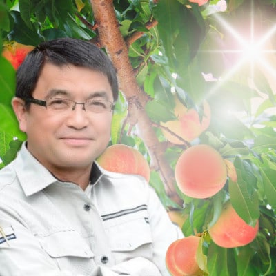 【2026年先行予約】硬めの品種の桃・3K(6~8個)「龍の木の実 望月のもも」【配送不可地域：離島】