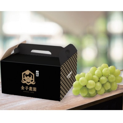 【本場山梨が誇るシャインマスカット】高糖度×大粒が織りなす二重奏贈答プレミアム2026年9月中旬発送【配送不可地域：離島】