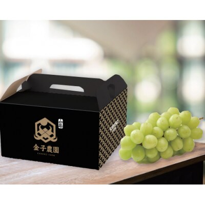 【本場山梨誇る】高糖度×大粒が織りなす甲州戦国シャインマスカットプレミアム2026年9月下旬より発送【配送不可地域：離島】