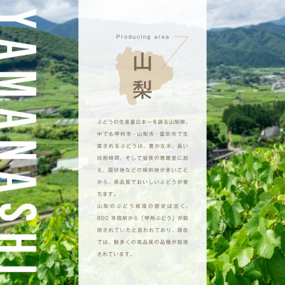 シャインマスカットスパークリングジュース 300ml×1本 果汁 100% 山梨 シャインマスカット