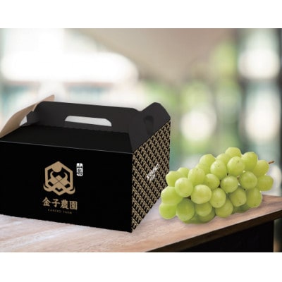 【本場の旬を堪能】本場山梨の甲州戦国シャインマスカットお試し2026年9月下旬より発送【配送不可地域：離島】