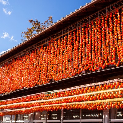 【2026年12月発送】山梨産枯露柿「蜜六花」12～15個(約1200g) 季節限定 高級干し柿