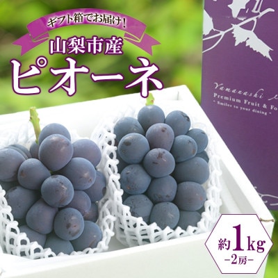 〈2026年先行予約〉甘みと酸味のバランスが絶妙!「山梨県山梨市産 大房 ピオーネ 2房 約1kg」【配送不可地域：離島・沖縄県】
