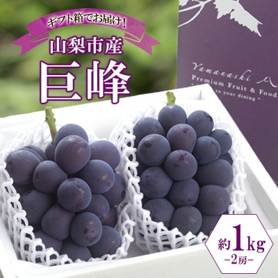 〈2026年先行予約〉濃厚な味わいが特徴!「山梨県山梨市産の巨峰 2房 約1kg」【配送不可地域：離島・沖縄県】