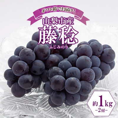 爽やかな甘み「山梨県山梨市産のぶどう 藤稔(ふじみのり) 2房 約1kg」【配送不可地域：離島・沖縄県】