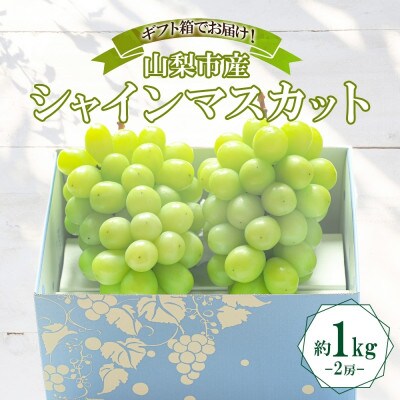 〈2026年先行予約〉大房で食べ応え満点!「山梨県山梨市産 シャインマスカット 2房 約1kg」【配送不可地域：離島】
