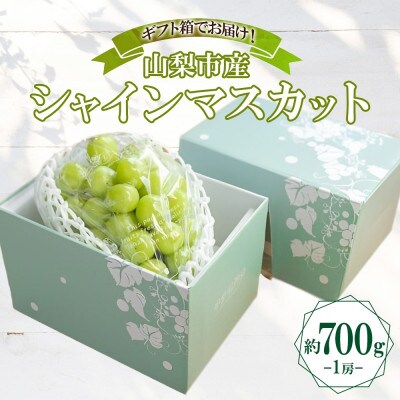 〈2026年先行予約〉果汁あふれるジューシーな「山梨市産 シャインマスカット 1房 約700g」【配送不可地域：離島】