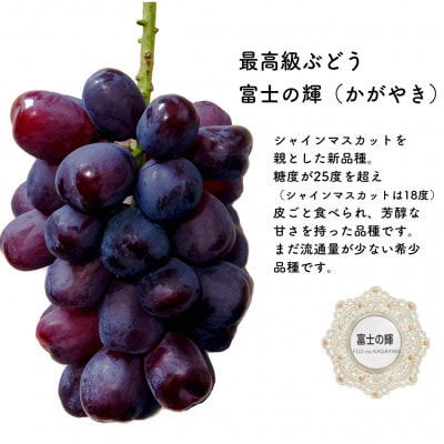 【2026年先行受付】富士の輝　大房800g以上　1房【配送不可地域：離島】