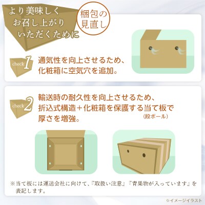 【2026年発送 先行受付】山梨厳選旬の桃 約3kg(8～12玉)【配送不可地域：離島】