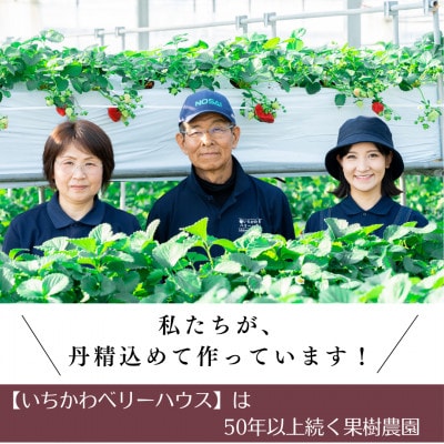 5～6品種食べ放題!いちご狩り体験2名様ご招待!