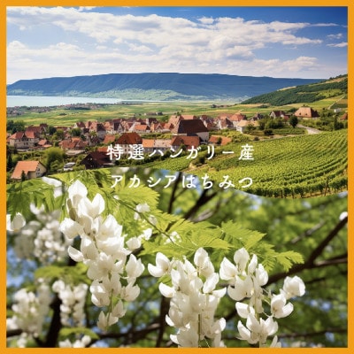 特選ハンガリー産アカシアはちみつ 300g