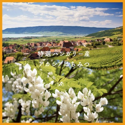 特選ハンガリー産アカシアはちみつ 300g×2本セット