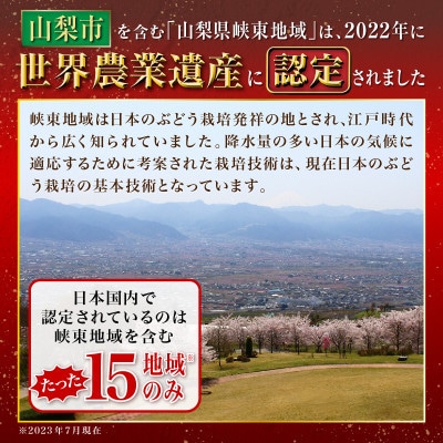 【2026年発送 先行受付】厳選農家のシャインマスカット 700g以上 1房　化粧箱入り【配送不可地域：離島】