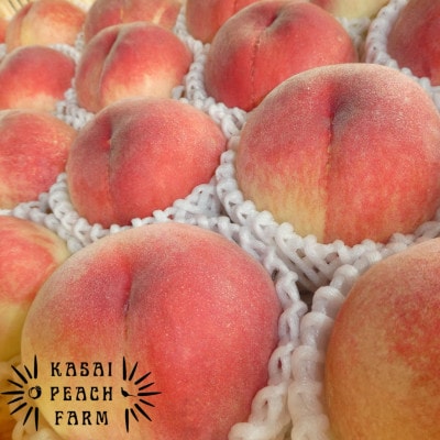 【2026年発送先行受付】厳選朝採り桃 山梨の笠井桃園の桃 約2kg【配送不可地域：離島】