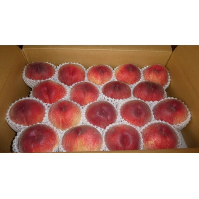 【2026年発送先行受付】厳選朝採り桃 山梨の笠井桃園の桃 約5kg【配送不可地域：離島】