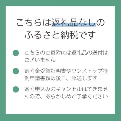 【返礼品なし】山梨県山梨市への応援寄附金(1口10,000円)