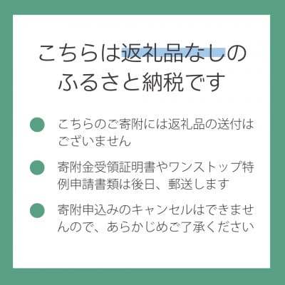 【返礼品なし】山梨県山梨市への応援寄附金(1口5,000円)