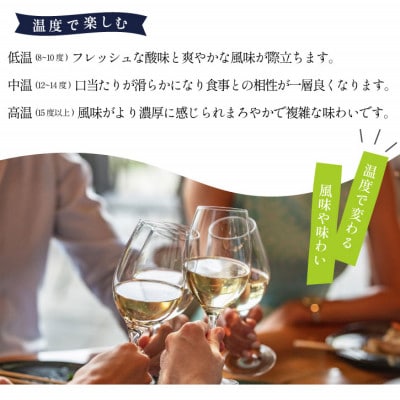 シャインマスカット 白ワイン 山梨でとれた葡萄で仕込んだワイン 八幡洋酒 720ml×1本