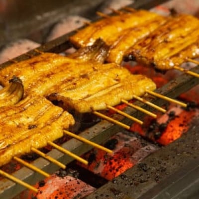 山梨県産富士山脈の地下水うなぎの蒲焼【約90g×5袋】【配送不可地域：離島】