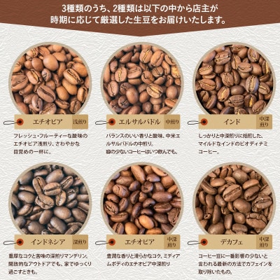 自家焙煎スペシャルティコーヒー豆 店主おすすめ3種 計300g