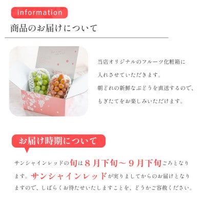 2026年発送【数量限定】希少な新品種サンシャインレッドと大人気シャインマスカットの贅沢2房セット【配送不可地域：離島・沖縄県】