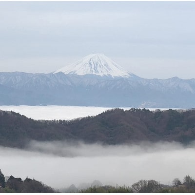 【2026年先行予約】2026年10月中旬発送「牧丘天空の丘シャインマスカット」約1kg(2～3房)【配送不可地域：離島】