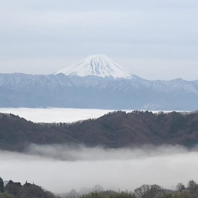 【2026年先行受付】牧丘天空ブランド山梨オリジナル品種サンシャインレッド【配送不可地域：離島】