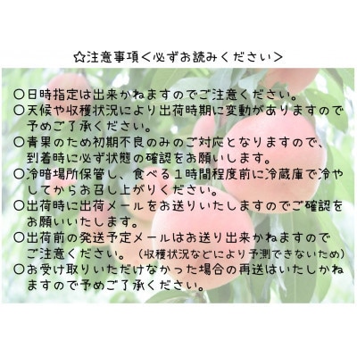 【2026年発送 先行受付】山梨県山梨市産 桃 2kg (5～8玉)【配送不可地域：離島・沖縄県】