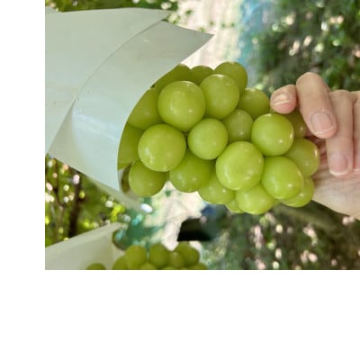 【2026年先行受付】大人気! シャインマスカット秀 3kg(4～7房)【配送不可地域：離島】