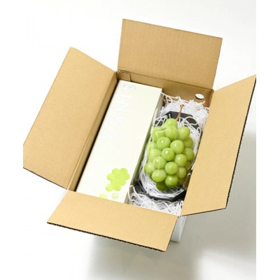 【先行予約/2026年8月下旬より発送】山梨県産シャインマスカット+SINKA -真果- セット【配送不可地域：離島・沖縄県】