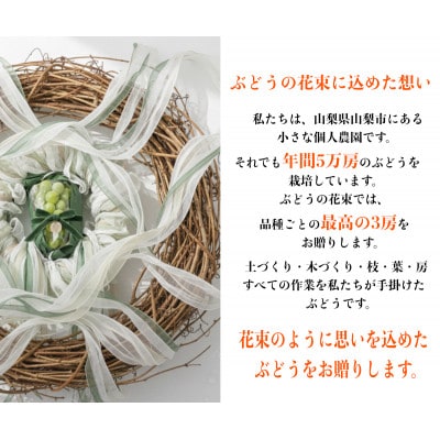 【2026年先行予約】サンシャインレッド 富士の輝 シャインマスカット 2kg 3房(各1房)【配送不可地域：離島】