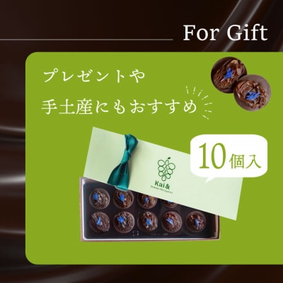 シャインマスカットレーズンのチョコレートマンディアン 10個入 山梨県産シャインマスカット使用