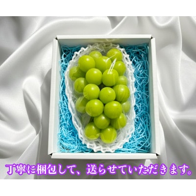 【2026年先行予約】シャインマスカット 1房 800g 小さな農家のこだわりシャイン【配送不可地域：離島】