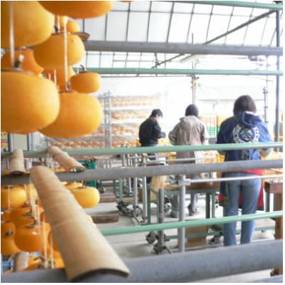 【冷凍】先代から受け継ぐヤマシタの『あんぽ柿』1kg詰【配送不可地域：離島】