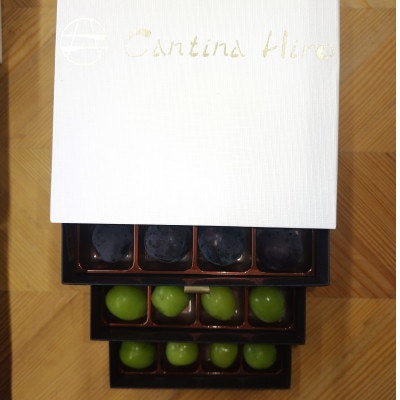 【2026年先行受付】ぶどうが光り輝く宝石に!!牧丘天空の丘ブランドぶどうの宝石箱 約700g【配送不可地域：離島】