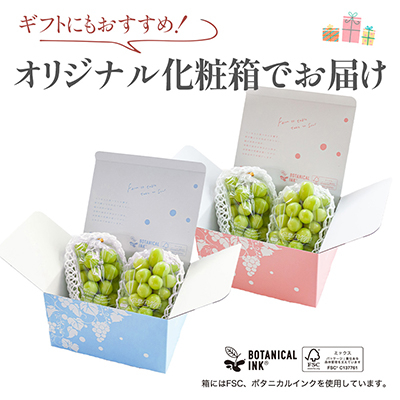 【2026年発送 先行受付】シャインマスカット 2房 (約1kg) 山梨県産フルーツ 人気のぶどう【配送不可地域：離島・沖縄県】