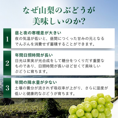 【先行受付 2026年発送】農林水産大臣賞受賞!!シャインマスカット 2房 1kg以上【配送不可地域：離島】
