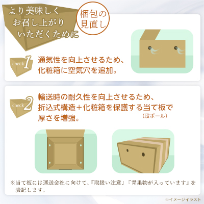 【2026年発送 先行受付】山梨厳選旬の桃約2kg【配送不可地域：離島】