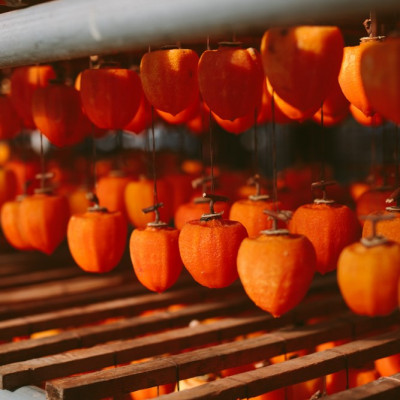 伝統の技・手揉みで丹精込めて作りあげた甲州名産 『枯露柿・1号』 約1kg