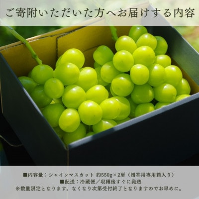 【2026年発送 先行受付】シャインマスカット 2房 1.1kg以上 山梨県 山梨市産【配送不可地域：離島】