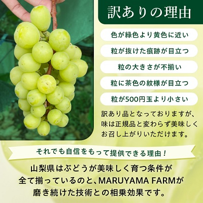 【先行受付 2026年発送】【訳あり】シャインマスカット 2～3房 1kg以上【配送不可地域：離島】