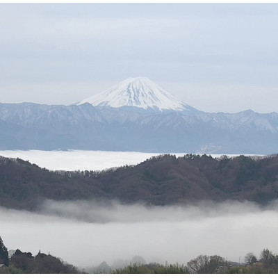 【2026年先行受付】2026年9月下旬発送「牧丘天空クイーンニーナ」 約1kg(2～3房)【配送不可地域：離島・沖縄県】