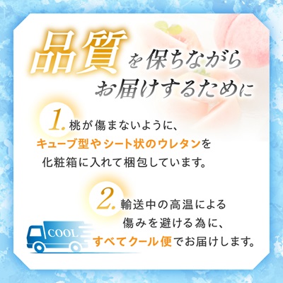 【2026年 先行受付】山梨直送!完熟桃3玉入り  ギフト化粧箱入り お試しにちょうどいいサイズ【配送不可地域：離島・沖縄県】